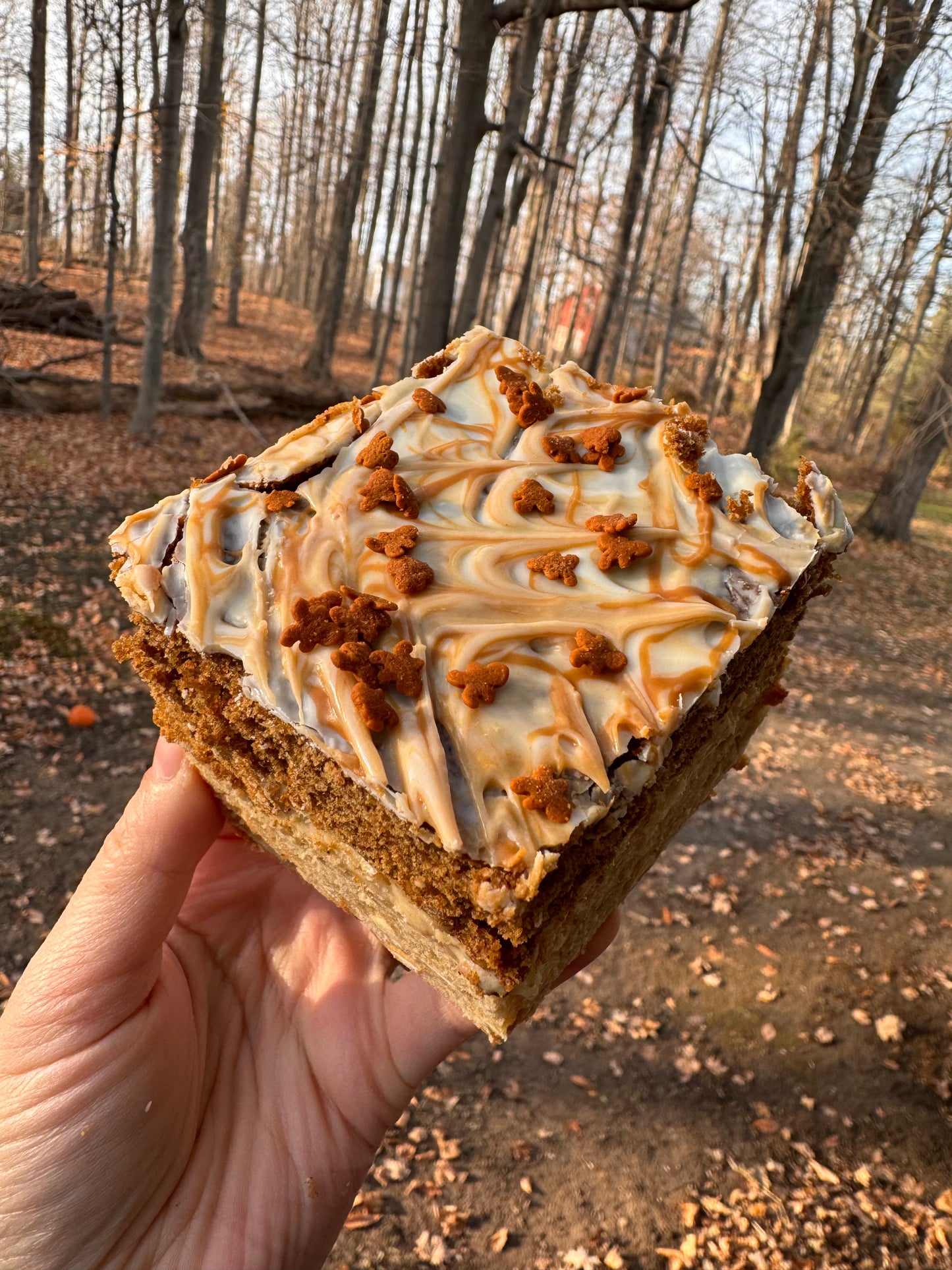 Gingerbread Bar Recipe