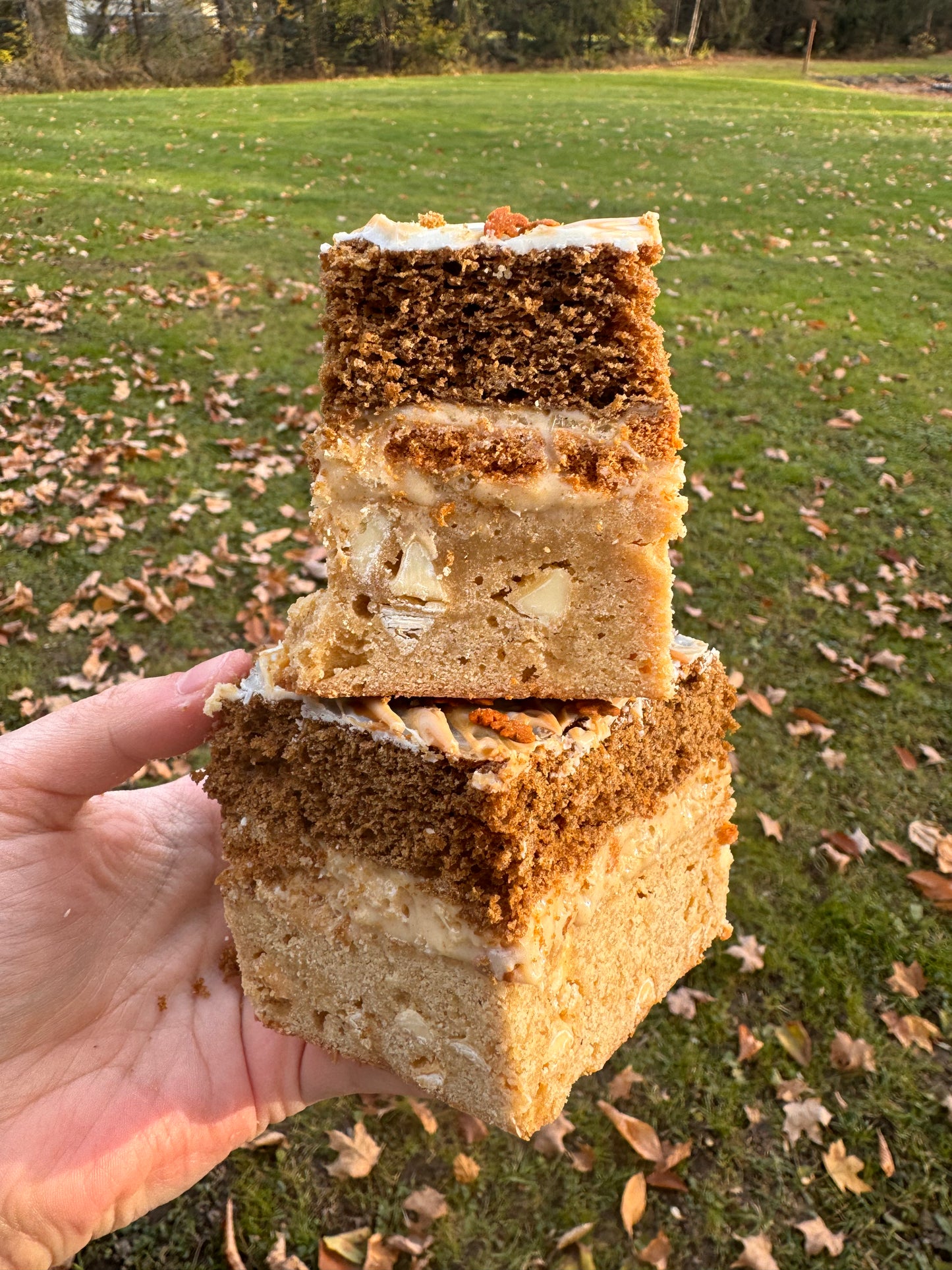 Gingerbread Bar Recipe