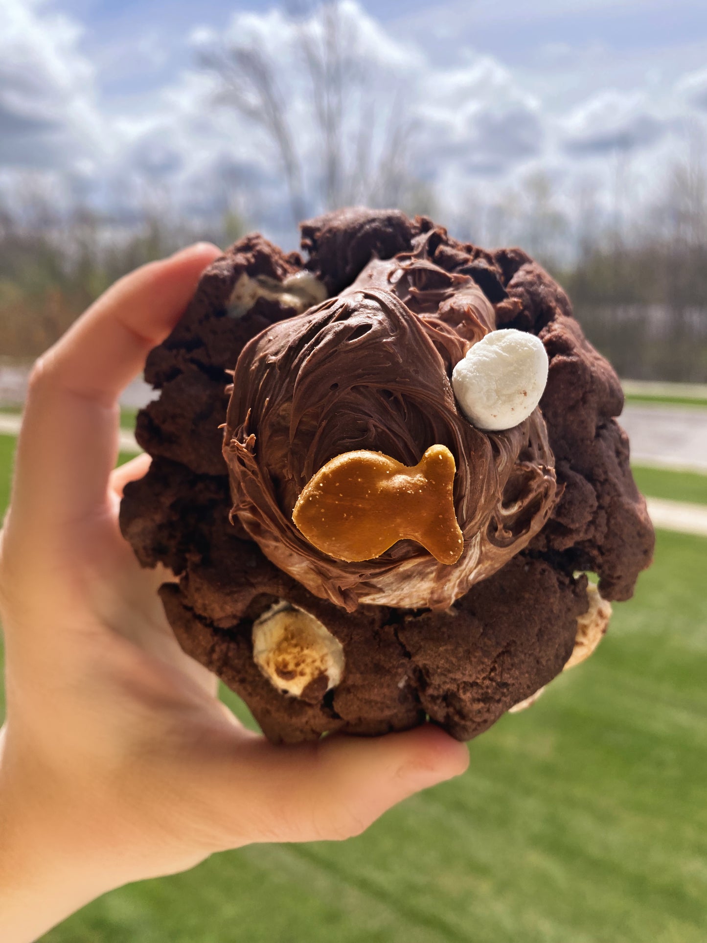 Phish Food Cookie Recipe