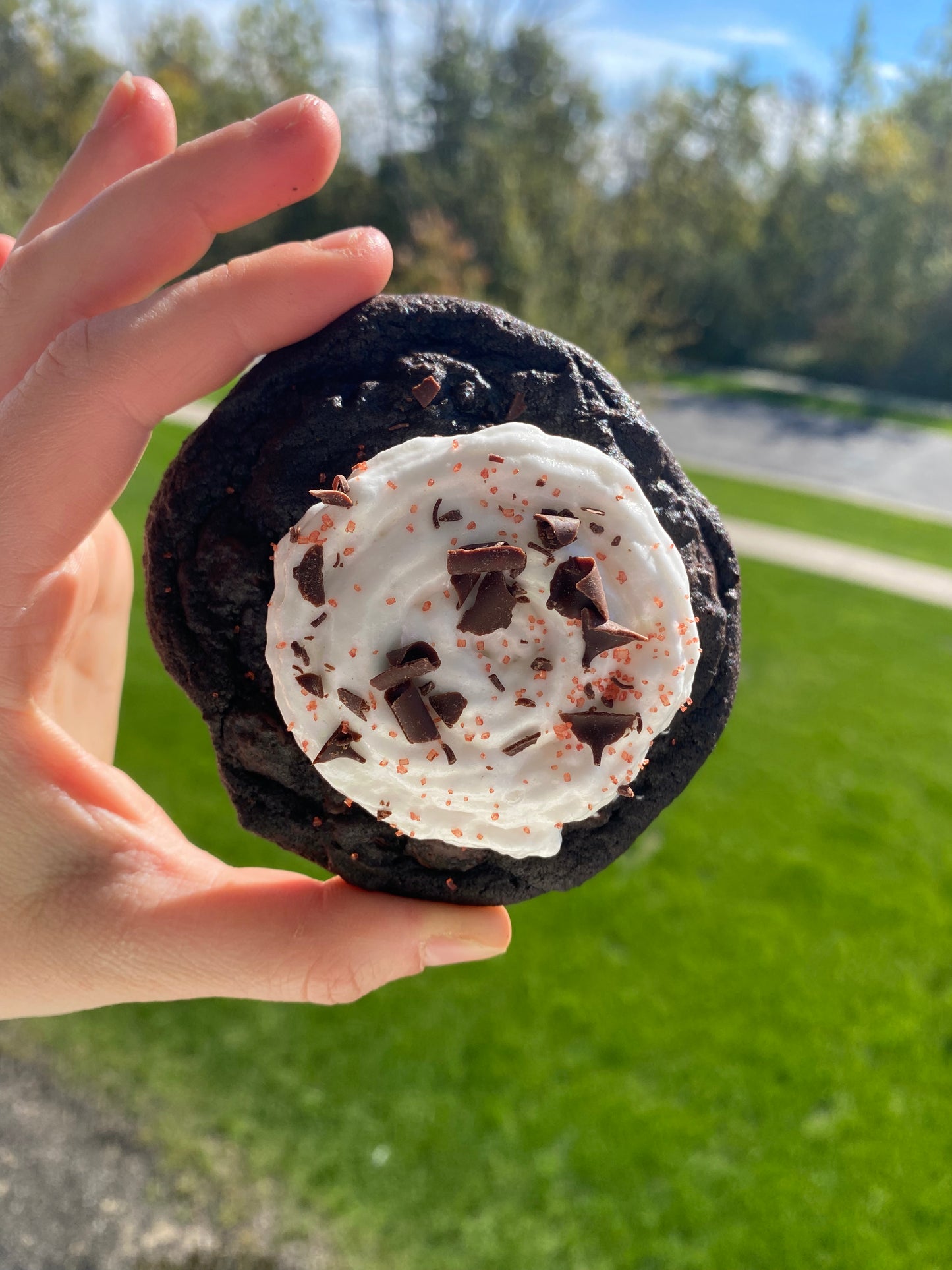 Peppermint Mocha Recipe